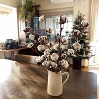 サンキライ,コットンフラワー,ドライフラワー,玄関ディスプレイ,クリスマスディスプレイの画像