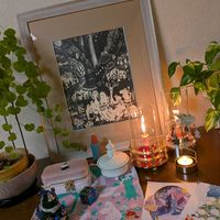 ポトス,亀甲竜,プレゼント,サンタクロース,トナカイの画像