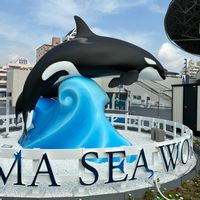 シャリンバイ,ノースポール,マツ,お出かけ先の画像