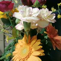 花瓶の花の画像