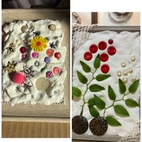 ワークショップ ,今日のお花の画像