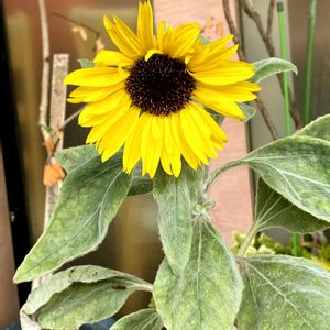 お出かけ先の画像