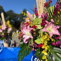 アンスリウム,オンシジウム,ストック,ユリ,フラワースタンドの画像