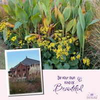 カンナ,ツワブキ,パンパスグラス,新港中央広場,ヨルノヨ2025の画像