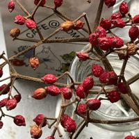 ガマズミ,黒法師,黒師法,あっ火曜日,#最前線のあなたへの画像