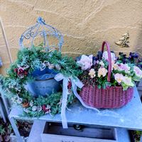 プラチーナ,カンガルーポー,フレッシュ  クリスマスリース,ヒロム杉,シルバーリーフの画像