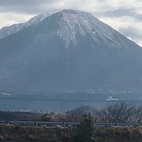 ヒマワリ,グミ,鳥取県・大山,電車。,ＪＲ新幹線の画像