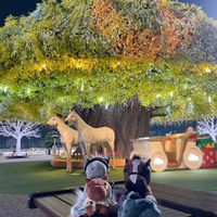 芝生,イルミネーション,ありがとう♡,繋がりに感謝✨,大切な人に…の画像