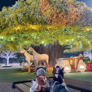 芝生,イルミネーション,ありがとう♡,繋がりに感謝✨,大切な人に…の画像