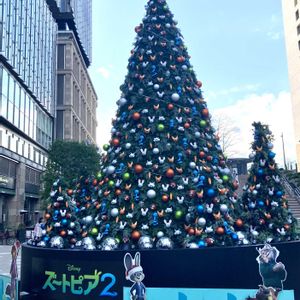 クリスマスツリー,GSのみなさんに感謝♡,綺麗✨,花ぶら散歩,千代田区有楽町の画像