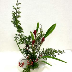 オクラレルカ,ジンジャー,サンキライ,ヒムロ杉,生け花の画像