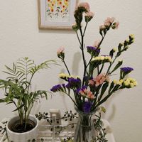 テーブルヤシ,花のある暮らし,トイレ・洗面所の画像