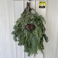 モミ,ヒバ,クリスマススワッグの画像