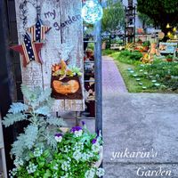 ダイソー,いつもありがとう♡,ガーデン雑貨,ソーラーライト,多肉のある暮らしの画像