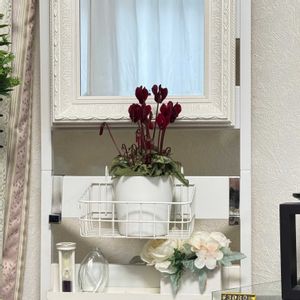 シクラメン（篝火花）,花言葉,花のある暮らし,誕生花,GS映えの画像