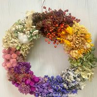 シクラメン,千日紅,千日紅,紫陽花,紫陽花の画像