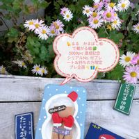 姫秋麗,碧魚連,ポリゴナム（ヒメツルソバ）,プラストラーツス,ドルフィンネックレスの画像