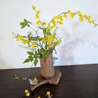 オンシジウム,ナズナ,ノブドウ,山野草,季節のお花の画像