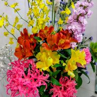 アルストロメリア,オンシジウム,オンシジウム,ストック,ネリネの画像