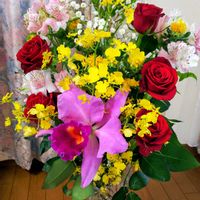 アルストロメリア,オンシジウム,カトレア,バラの画像