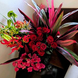 グロリオサ,バラ サムライ,ルミナリア,フェリスタル,観察の画像