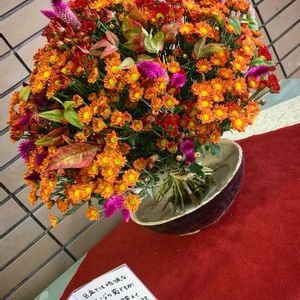 寄植え,お花屋さん,秋の気配,可愛い実,和風ティストの画像