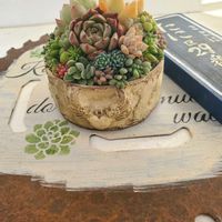 淡雪,オリビア,ワイルドホース,GSの繋がりに感謝♡,バラと夢CLUBの画像