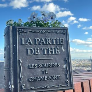 ビオラ,ビオラ,レンガ,空と花,ブック型プランターの画像