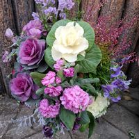 ユーカリポポラスの画像