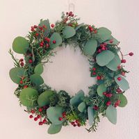 ブルーアイス,野ばらの実,ユーカリ ポポラス,ヒムロスギ,クジャクヒバの画像