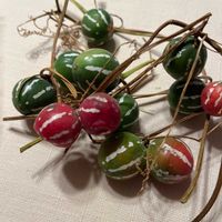 オキナワスズメウリの画像