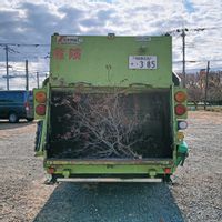 ルピナス,グラコロ,グラコロ,うちのルピナスの種,スワンボート消えた、、、の画像