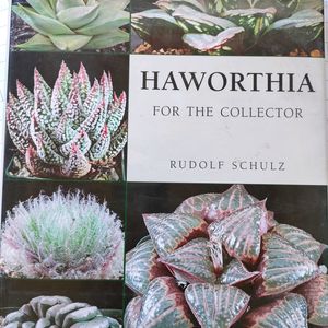 ハオルチア,多肉植物,多肉植物寄せ植え,多肉生活,多肉多肉多肉の画像