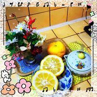柚子,柚子,花のある暮らし,GSに感謝。,わんこと暮らすの画像