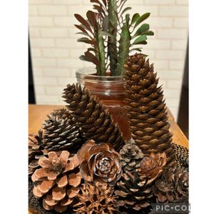 サボテン,ユーホルビア,多肉植物,多肉寄せ植え,多肉棚の画像