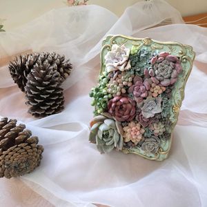 多肉の寄せ植え,多肉棚,韓国苗,GSに感謝。,モルタルプランターの画像