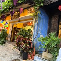 ボケ,クロトン,セローム,キバナツツジ,旅行先の画像