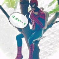 エバーフレッシュ,ポトスライム,観葉植物,観葉植物のある暮らし,スパイダーマンとエバさん♪の画像