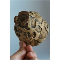 サボテン,ぼくモル鉢,ぼくモル ポタリー,多肉植物,ユーフォルビアの画像