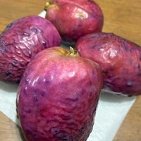 ムベ,ムベ,スマホ撮影加工なし,花の15年組,庭の画像