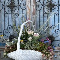 クリソセファラム・スマイリープー,エレモフィラ・ニベア,フォックスリータイム,ゴールデンレモンタイム,神戸べっぴんさんパンジーの画像