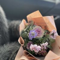 スカビオサ,葉牡丹,ビオラ,ビオラ　アイクルール,季節を楽しむの画像