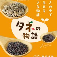 冬野菜,野菜作り,在来種,種から育てる,固定種の画像