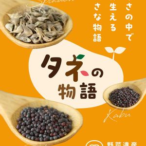 冬野菜,野菜作り,在来種,種から育てる,固定種の画像