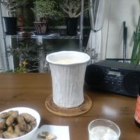 コミフォラ・フンベルティ,センナ・メリディオナリス,センナ・メリディオナリス,コミフォラ・シンプリキフォリア,盆栽の画像