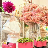 ランドセルシリーズソルトムーンあずき,サラセレネ ラゴス,100均雑貨,ラナンキュラスランドセルの画像