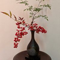 南天,ワンワン祭り,私の生け花,花友さんからサプライズ,マンション花壇ハナミズキの紅葉の画像