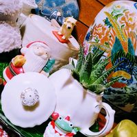 多肉植物いろいろ,多肉植物の寄せ植え,多肉植物,多肉寄せ植え,クリスマススワッグの画像