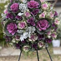 葉牡丹,花のある暮らし,ハンギングバスケット,スリットバスケット,ハンギングの画像