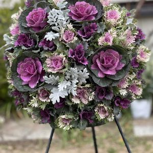 葉牡丹,花のある暮らし,ハンギングバスケット,スリットバスケット,ハンギングの画像